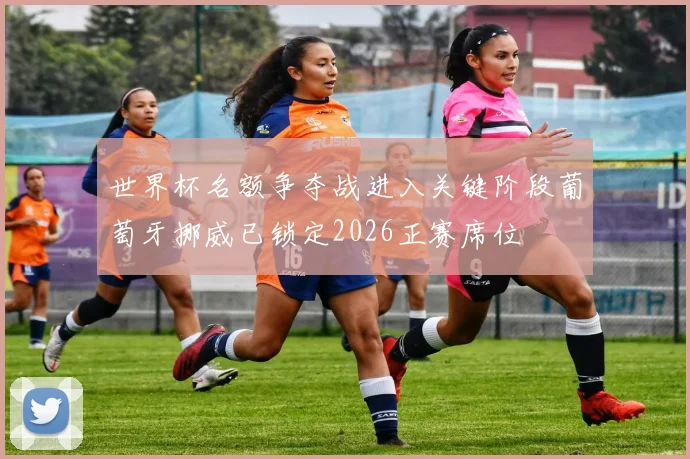 世界杯名额争夺战进入关键阶段葡萄牙挪威已锁定2026正赛席位