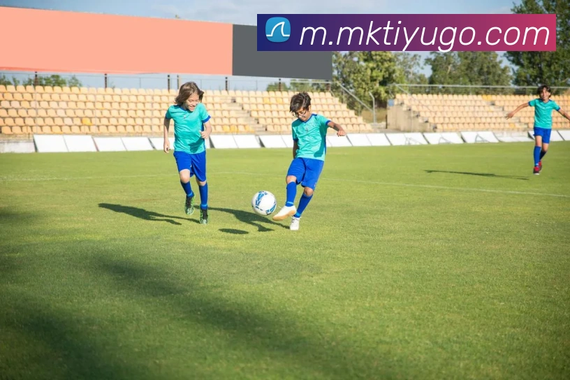 MK体育平台生态图