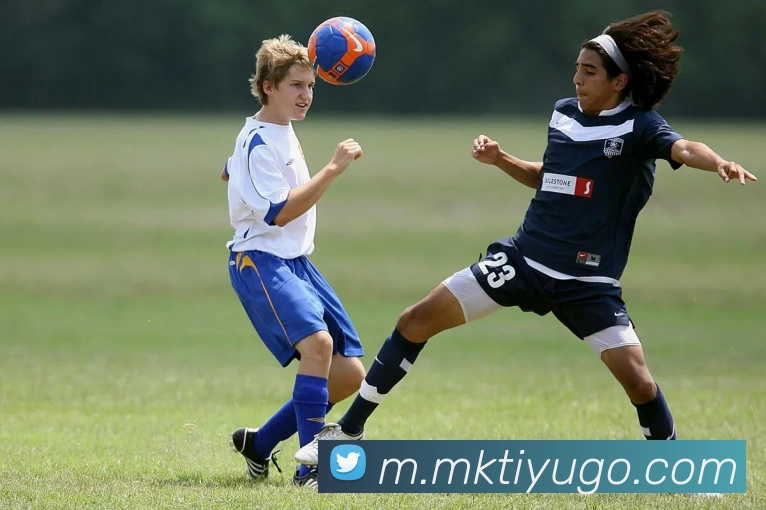 MK体育APP 封面图